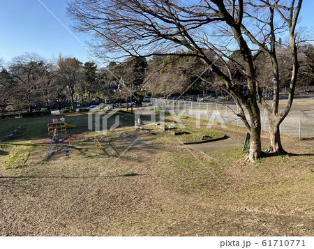 東京都立青山公園 東京都立青山公園 61710771