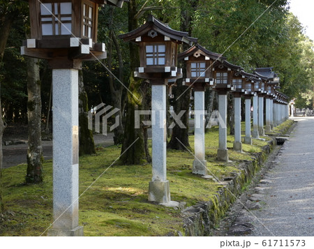 橿原神宮の石灯籠 橿原神宮の石灯籠 61711573