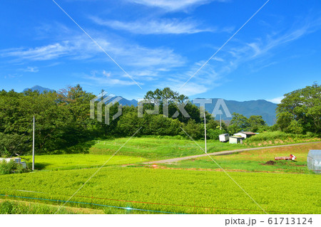中央本線の沿線風景 61713124