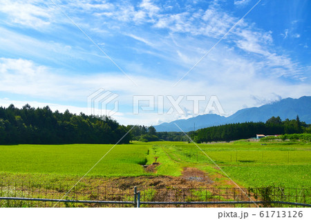 中央本線の沿線風景 中央本線の沿線風景 61713126