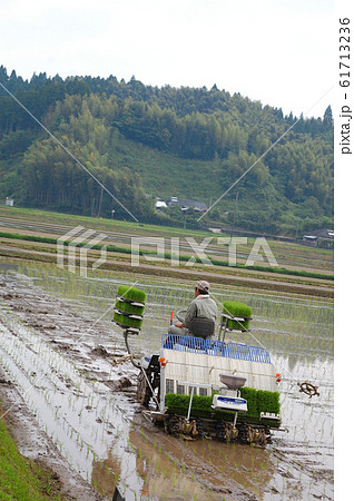 田植え 61713236