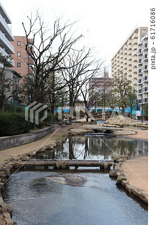 大横川親水公園 61716086