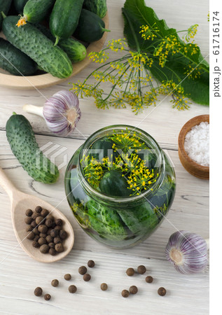Preparation for pickling cucumbers with spices on awhite wooden table. Top view. Preparation for pickling cucumbers with spices on awhite wooden table. Top view. 61716174