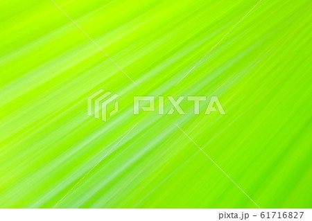 Green fan palm leaf on blurred background 61716827