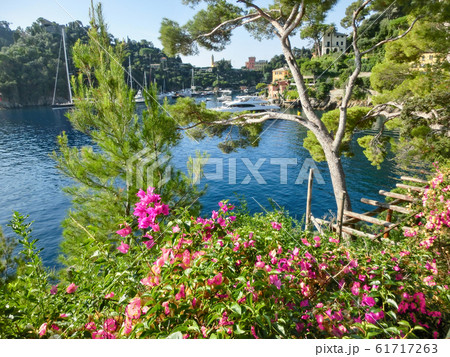 Seaside villas near Portofino in Italy 61717263