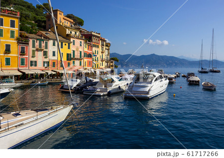 Beautiful bay with colorful houses in Portofino, 61717266