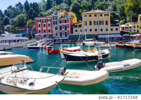 Beautiful bay with colorful houses in Portofino, 61717268