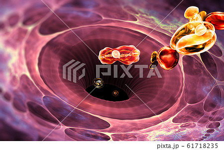 Immune system cell. White blood cell eats bacteria Immune system cell. White blood cell eats bacteria 61718235