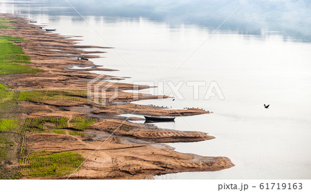 Birds on the Ganges River shallow. Birds on the Ganges River shallow. 61719163