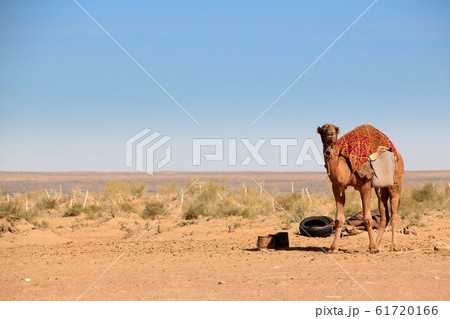アヤズ・カラ遺跡 61720166