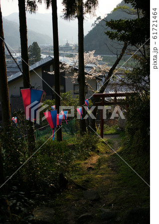 鳥取 四季の散歩 春 用瀬 愛宕山 鳥取 四季の散歩 春 用瀬 愛宕山 61721464