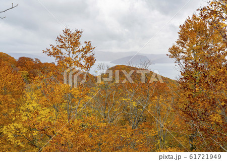 Beautiful fall color of the Lake Towada area 61721949