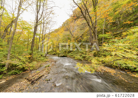 Beautiful fall color of the Oirase Gorge Beautiful fall color of the Oirase Gorge 61722028