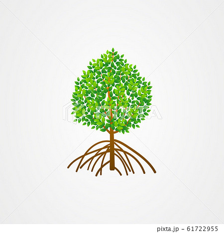 Tree And Roots Vector Mangrove Tree Illustration のイラスト素材