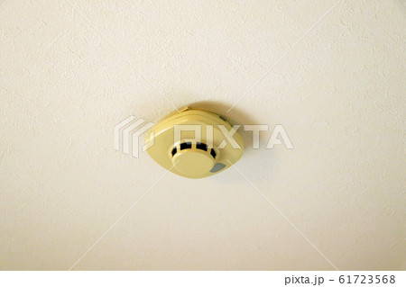 天井の火災報知器 天井の火災報知器 61723568
