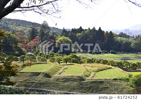 修学院離宮　上離宮　田園風景 61724252