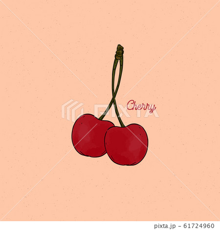 Cherry vector drawing set.  Hand draw sketch 61724960