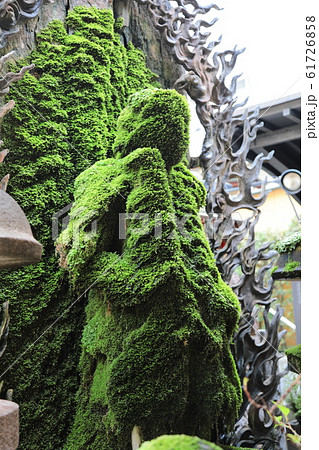 法善寺の水掛不動尊 61726858