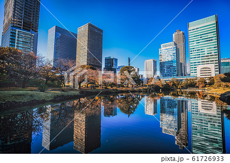 浜離宮恩賜公園の紅葉と湖面に映える景観 浜離宮恩賜公園の紅葉と湖面に映える景観 61726933