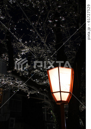 京都の夜景 京都の夜景 61727529