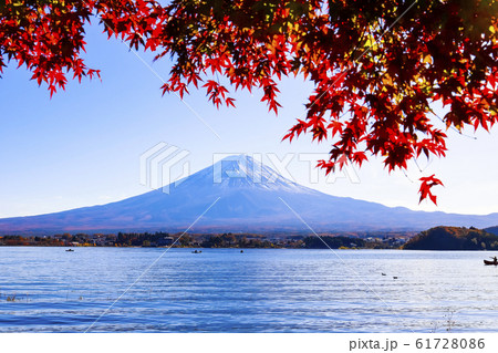 【山梨県】紅葉の河口湖と富士山 61728086