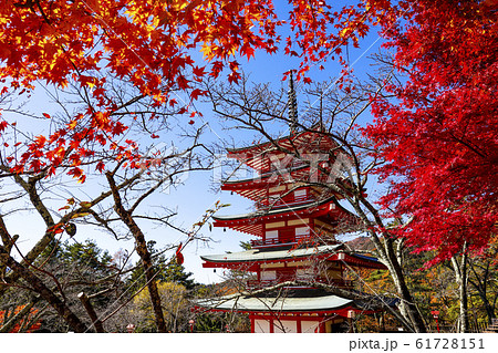 【山梨県】紅葉の新倉富士浅間神社・忠霊塔 【山梨県】紅葉の新倉富士浅間神社・忠霊塔 61728151