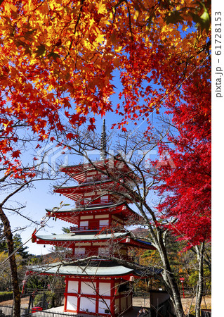 【山梨県】紅葉の新倉富士浅間神社・忠霊塔 【山梨県】紅葉の新倉富士浅間神社・忠霊塔 61728153