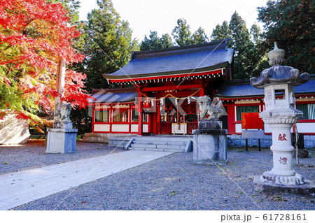 【山梨県】紅葉の国指定重要文化財富士御室浅間神社　本宮 61728161