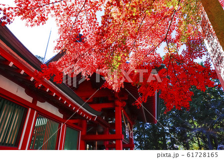 【山梨県】紅葉の国指定重要文化財富士御室浅間神社 本宮 【山梨県】紅葉の国指定重要文化財富士御室浅間神社 本宮 61728165