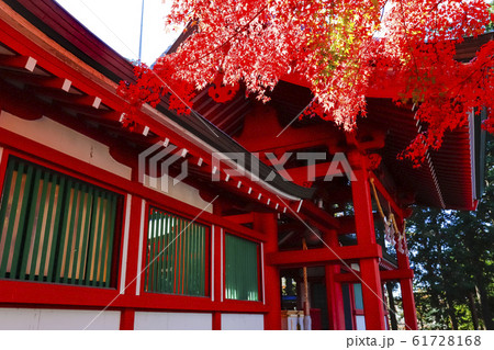 【山梨県】紅葉の国指定重要文化財富士御室浅間神社 本宮 【山梨県】紅葉の国指定重要文化財富士御室浅間神社 本宮 61728168
