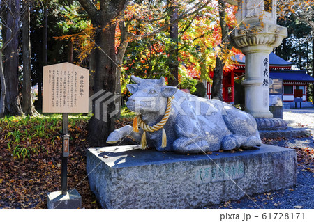 【山梨県】国指定重要文化財富士御室浅間神社 神使の撫牛 【山梨県】国指定重要文化財富士御室浅間神社 神使の撫牛 61728171