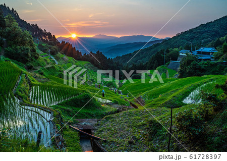 泉谷の棚田 61728397