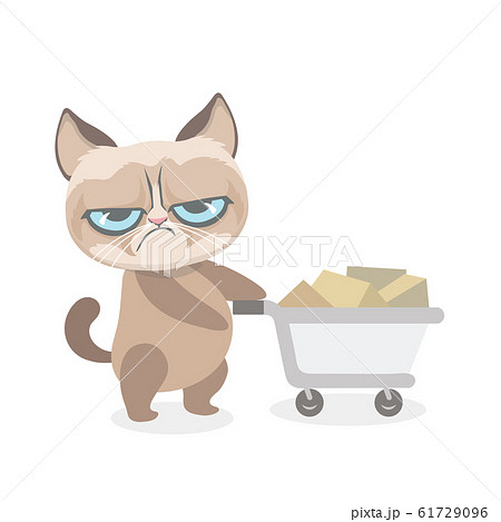 Cute grumpy cat with shopping cart.. Cute grumpy cat with shopping cart.. 61729096