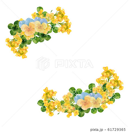 菜の花とパンジーのブーケ 61729365