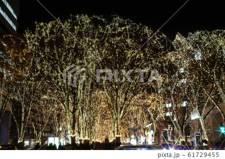 SENDAI光のページェント 61729455