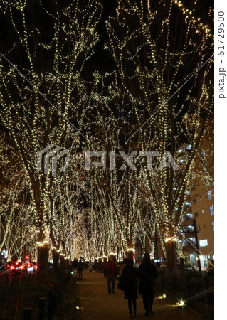 SENDAI光のページェント 61729500