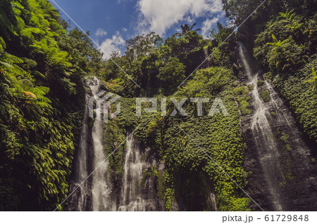 bali, fiji waterfall from the sekumbul waterfalls, indonesia, asia 61729848
