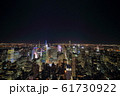 ニューヨークの夜景 61730922