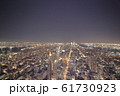 ニューヨークの夜景 61730923