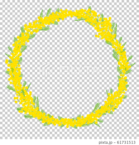 ミモザのリース 手描き  文字なし 61731513