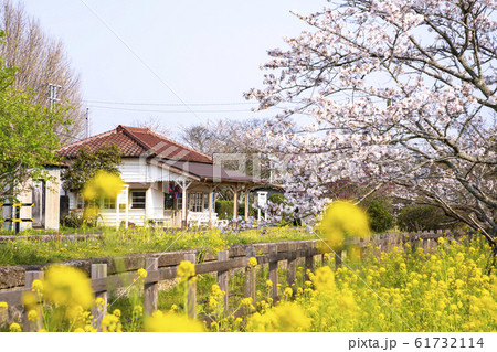小湊鉄道 上総鶴舞駅 桜の季節 小湊鉄道 上総鶴舞駅 桜の季節 61732114