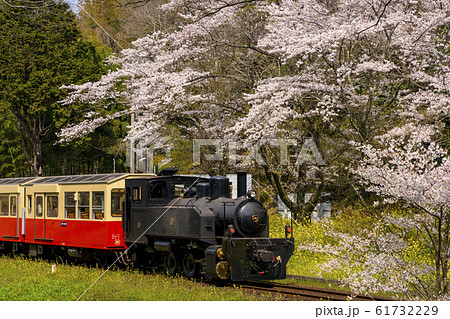 小湊鉄道　上総大久保駅　トロッコ列車 61732229