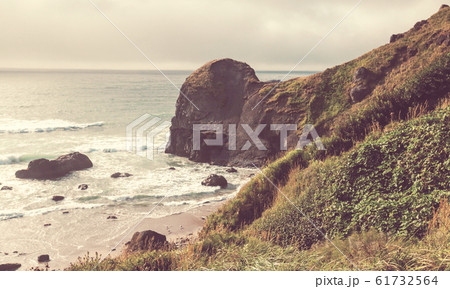 Oregon coast 61732564