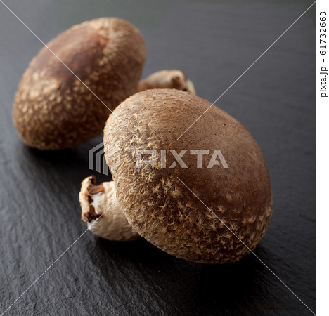 生椎茸 生椎茸 61732663