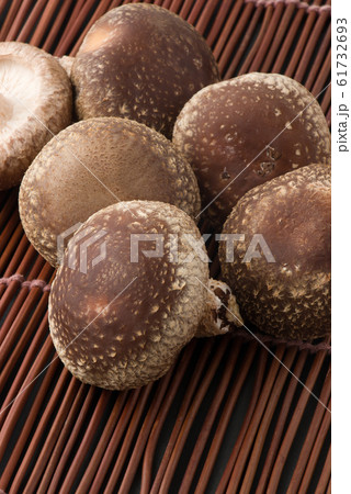 生椎茸 生椎茸 61732693
