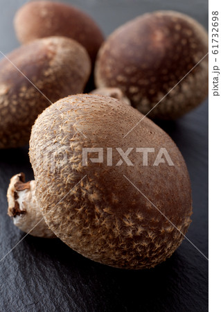 生椎茸 生椎茸 61732698
