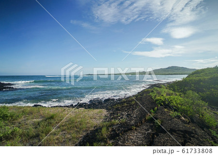 イザベラ島の海 61733808