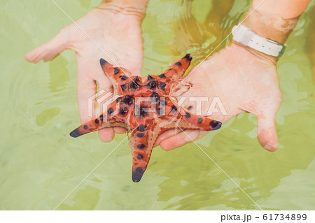 Red starfish in the hands, next to the sea 61734899
