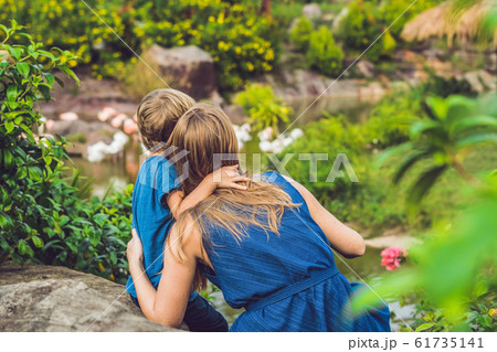 Mom and son are looking at the flock of birds of pink flamingos on a pond 61735141