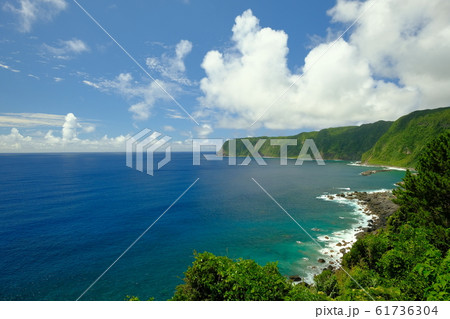 南国の島1 南国の島1 61736304